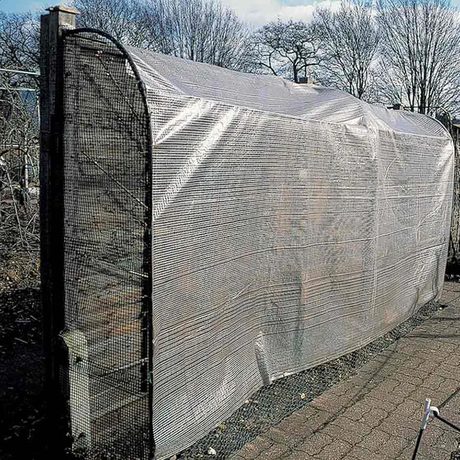 frost-protection-for-fruit-tree