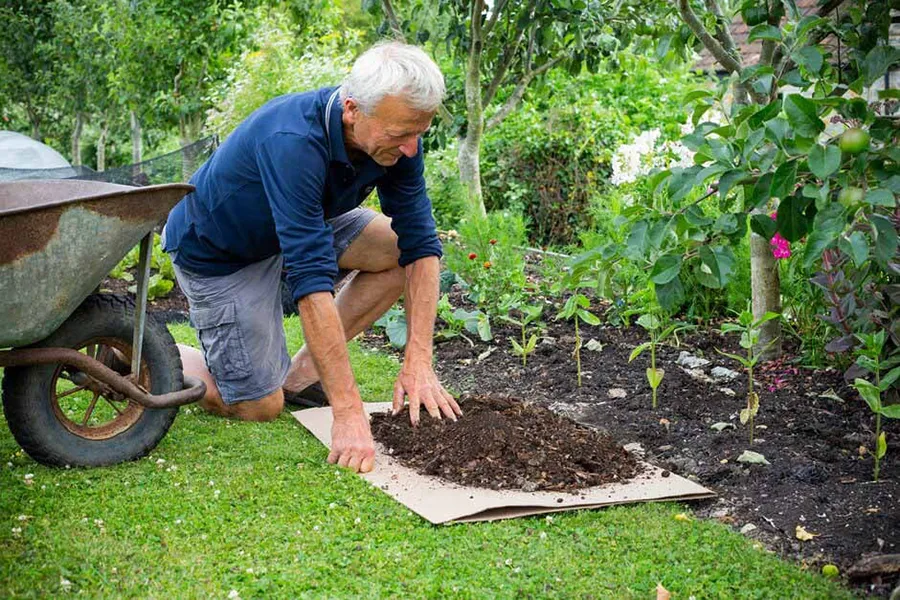 A weeding knife with a hooked end is a useful tool for removing weeds between paving slabs