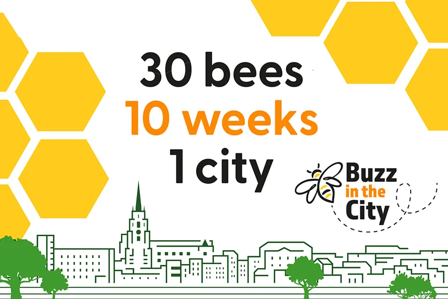 Buzz in the City logo