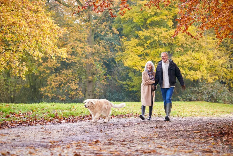 Older couple walking their dog outdoors in the autumn