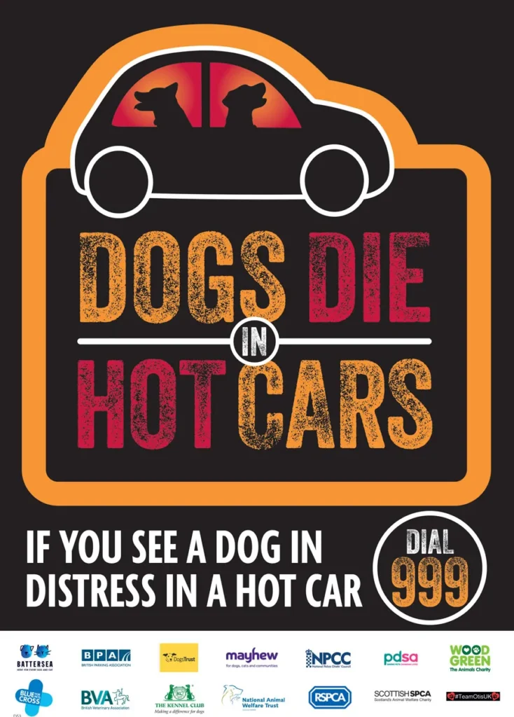 Graphic saying 'dogs die in hot cars. If you see a dog in distress in a hot car dial 999.'