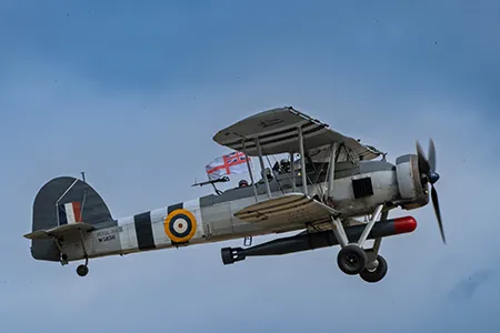 Swordfish