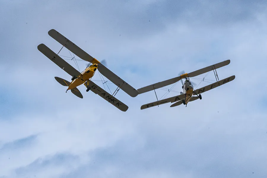 Two Tiger Moths in the Sky
