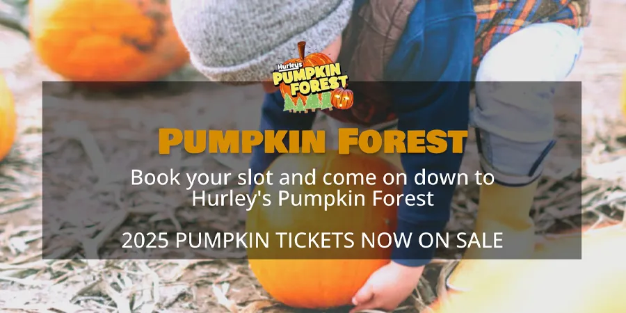 Hurleys Pumpkin Forest title graphic
