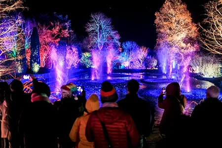 Hyde Hall Glow