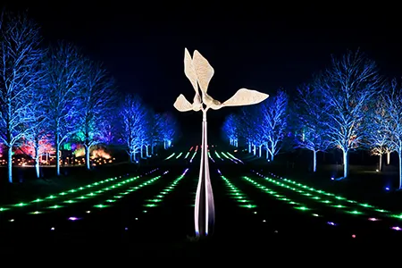 Hyde Hall Glow