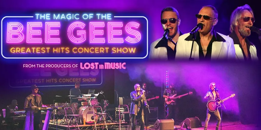 The Magic of The Bee Gees title graphic