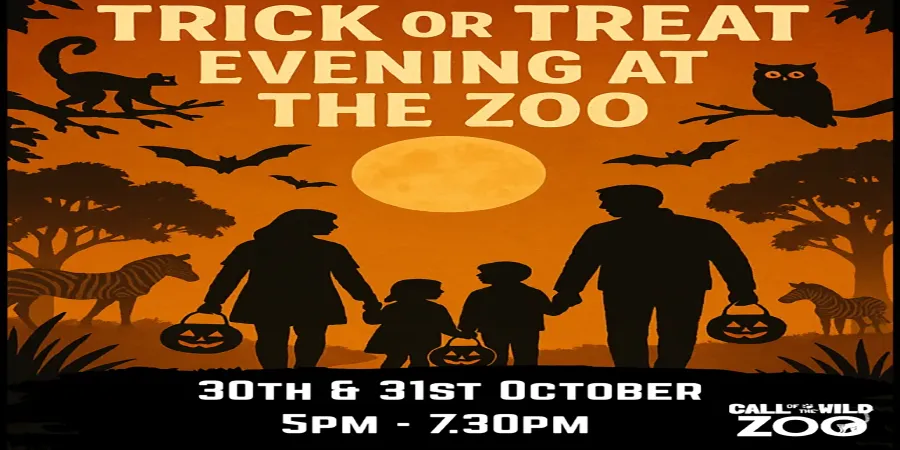 trick or treat evening
