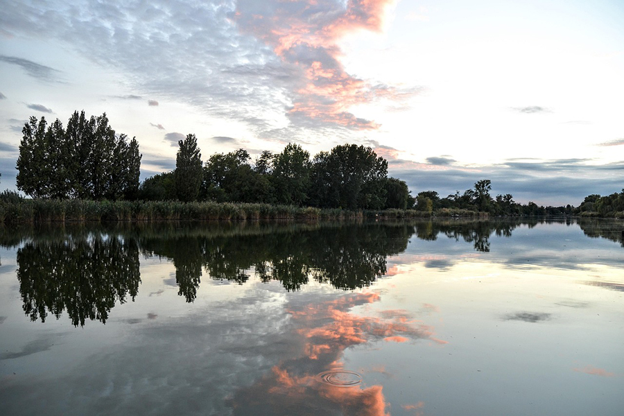 Mirrored