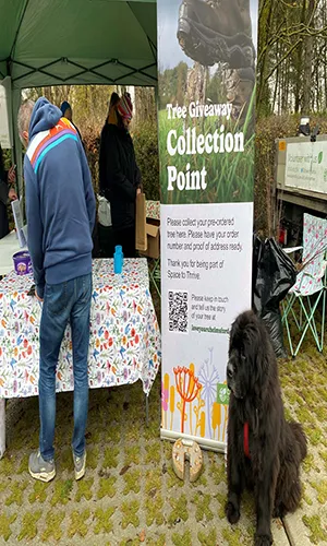 Tree collection