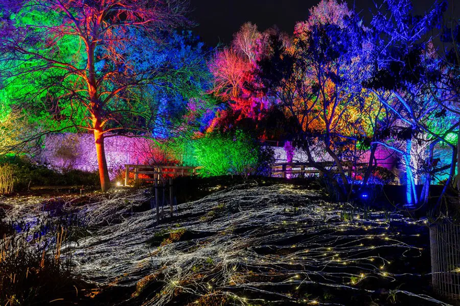 Glow Christmas lights