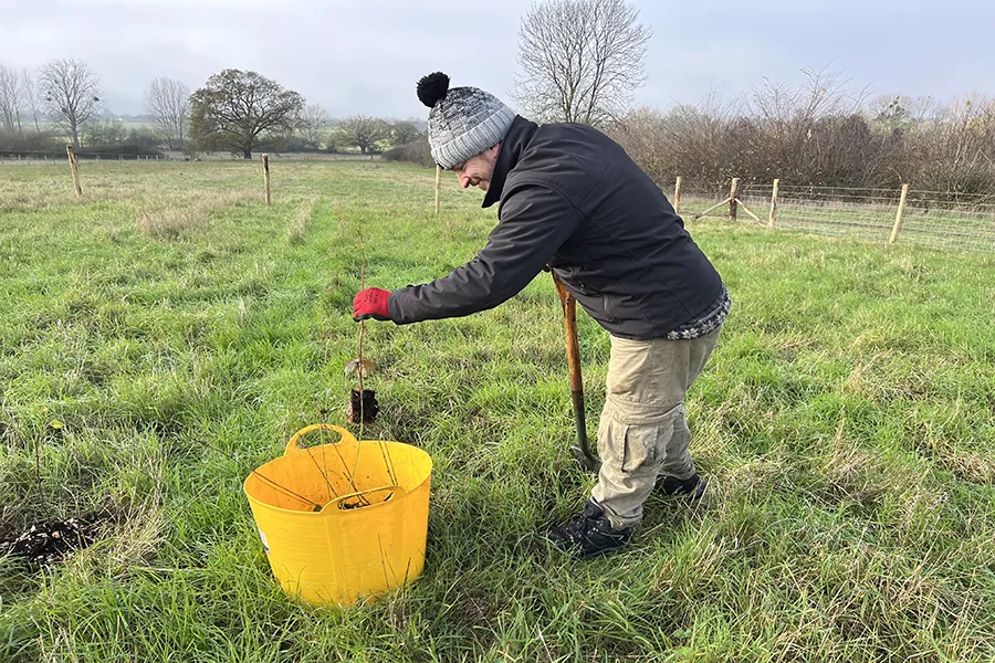 Volunteer planting trees