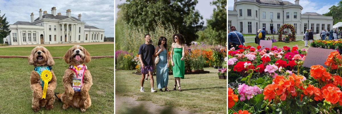 Photos from Hylands Hall