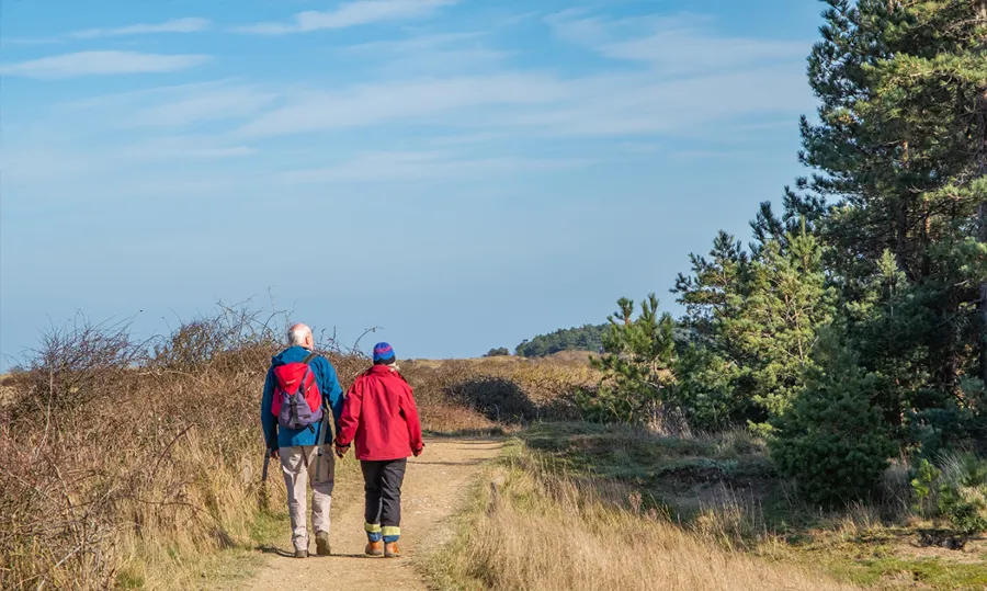 A couple walking hand in hand outside next to a forest and they are walking away from the camera along a path