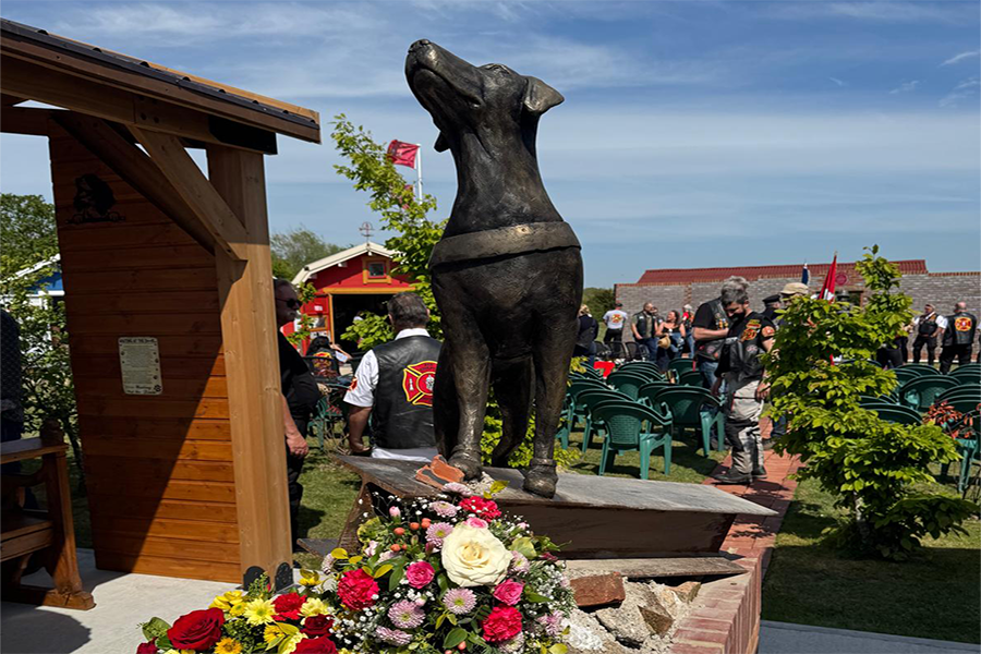 dog memorial