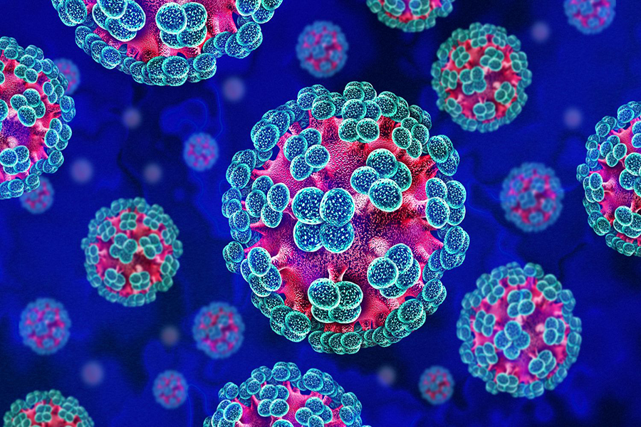 virus