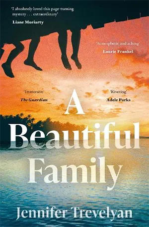 A Beautiful Family book cover