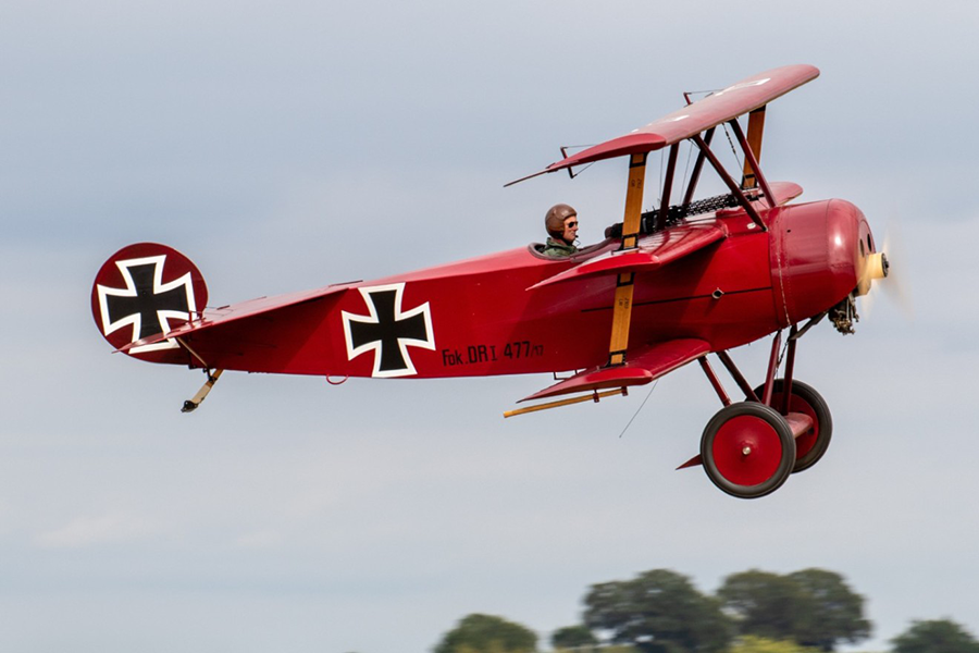 Tiger Moth